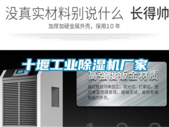 企業新聞十堰工業除濕機廠家