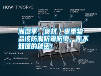 知識百科潮濕季，食材／貴重物品該防潮防霉防蟲，你不知道的秘密！