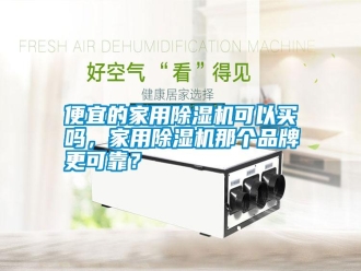 行業新聞便宜的家用除濕機可以買嗎，家用除濕機那個品牌更可靠？