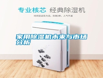 企業(yè)新聞家用除濕機(jī)未來(lái)與市場(chǎng)分析