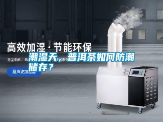 知識百科潮濕天，普洱茶如何防潮儲存？