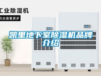 企業新聞凱里地下室除濕機品牌介紹