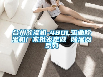 企業新聞臺州除濕機-480L工業除濕機廠家批發定做 除濕器系列