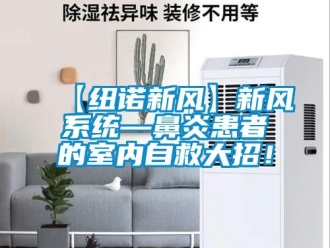 企業新聞【紐諾新風】新風系統—鼻炎患者的室內自救大招！