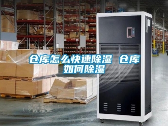 企業(yè)新聞倉庫怎么快速除濕 倉庫如何除濕