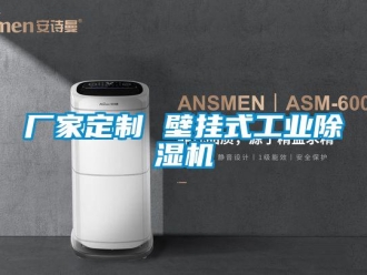 企業新聞廠家定制 壁掛式工業除濕機