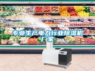 企業新聞專業生產電力行業除濕機廠家