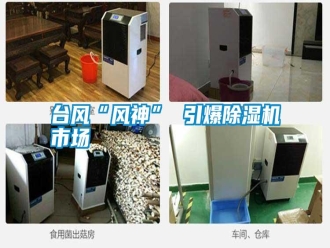 常見問題臺風(fēng)“風(fēng)神” 引爆除濕機(jī)市場