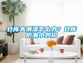 企業(yè)新聞倉庫太潮濕怎么辦？倉庫防潮小妙招