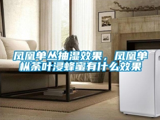 企業新聞鳳凰單叢抽濕效果，鳳凰單樅荼葉浸蜂蜜有什么效果