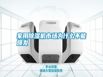 知識百科家用除濕機市場為什么不能爆發