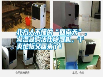 知識百科北方人不懂的“回南天”，潮濕急購活仕除濕機，干爽地板又回來了！