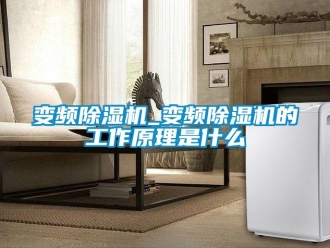 企業新聞變頻除濕機_變頻除濕機的工作原理是什么
