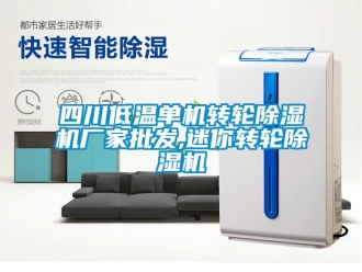 企業新聞四川低溫單機轉輪除濕機廠家批發,迷你轉輪除濕機