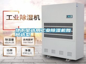行業新聞地下室選用工業除濕機如何選型