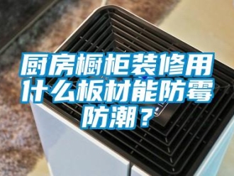 企業(yè)新聞廚房櫥柜裝修用什么板材能防霉防潮？