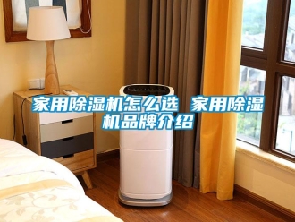 企業新聞家用除濕機怎么選 家用除濕機品牌介紹