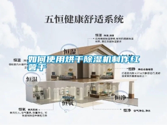 常見問題如何使用烘干除濕機制作紅薯干