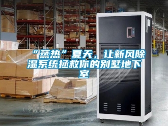 企業新聞“蒸熱”夏天，讓新風除濕系統拯救你的別墅地下室