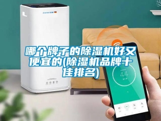 企業(yè)新聞哪個牌子的除濕機(jī)好又便宜的(除濕機(jī)品牌十佳排名)