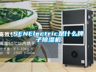 企業新聞SENElectric是什么牌子除濕機