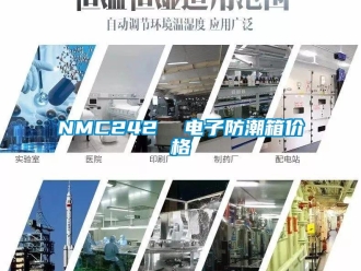 企業(yè)新聞NMC242  電子防潮箱價(jià)格