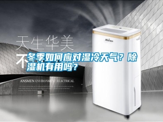 行業新聞冬季如何應對濕冷天氣？除濕機有用嗎？