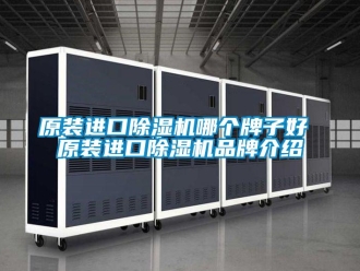 企業(yè)新聞原裝進(jìn)口除濕機(jī)哪個(gè)牌子好 原裝進(jìn)口除濕機(jī)品牌介紹