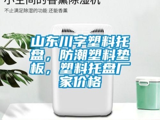 常見問題山東川字塑料托盤，防潮塑料墊板，塑料托盤廠家價格